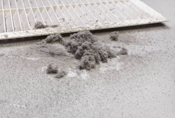 Best Ductwork Cleaning Services  in Brooklyn, IA