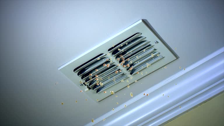 Best Air Duct Sanitizing Services  in Brooklyn, IA